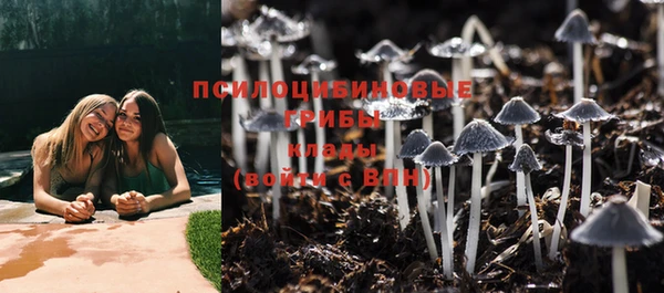 МДМА Белокуриха